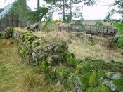 gothleck wb 026.jpg