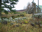 gothleck wb 032.jpg
