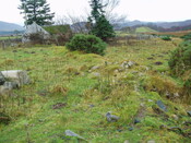 gothleck wb 034.jpg