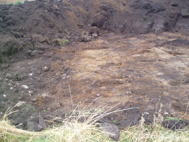 gothleck wb 036.jpg