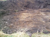 gothleck wb 036.jpg