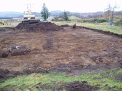 gothleck wb 041.jpg