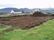 gothleck wb 042.jpg
