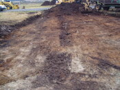 gothleck wb 043.jpg