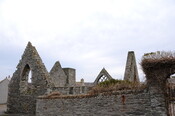DSC_0869.jpg