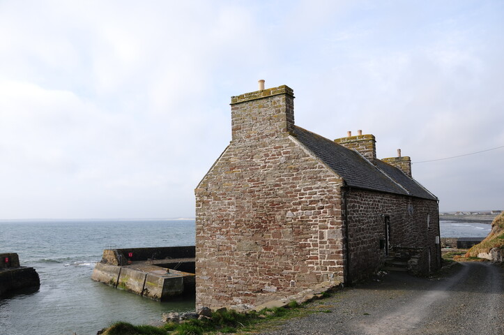 DSC_0941.jpg