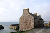 DSC_0941.jpg