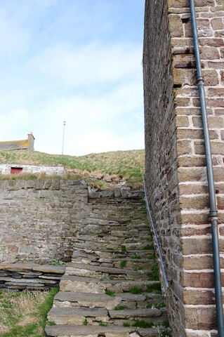DSC_0946.jpg