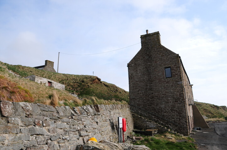 DSC_0947.jpg