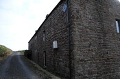DSC_0950.jpg