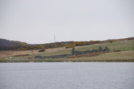 DSC_0852.jpg