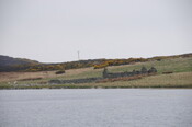 DSC_0852.jpg