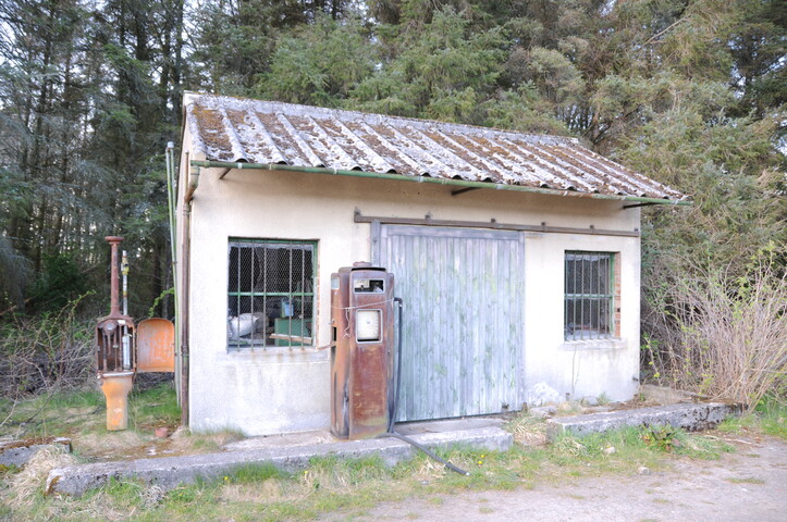 DSC_1162.jpg