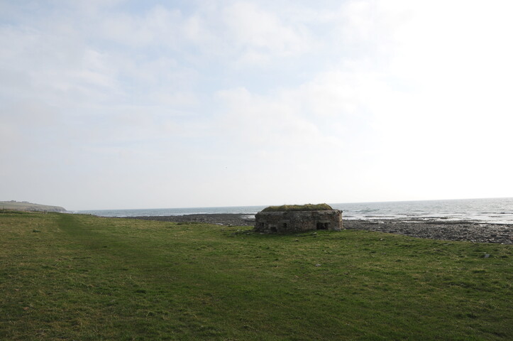 DSC_0957.jpg