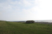DSC_0957.jpg