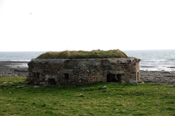DSC_0958.jpg