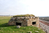 DSC_0959.jpg