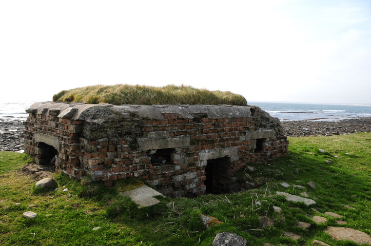 DSC_0960.jpg