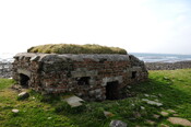 DSC_0960.jpg
