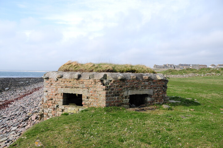 DSC_0962.jpg