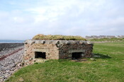 DSC_0962.jpg