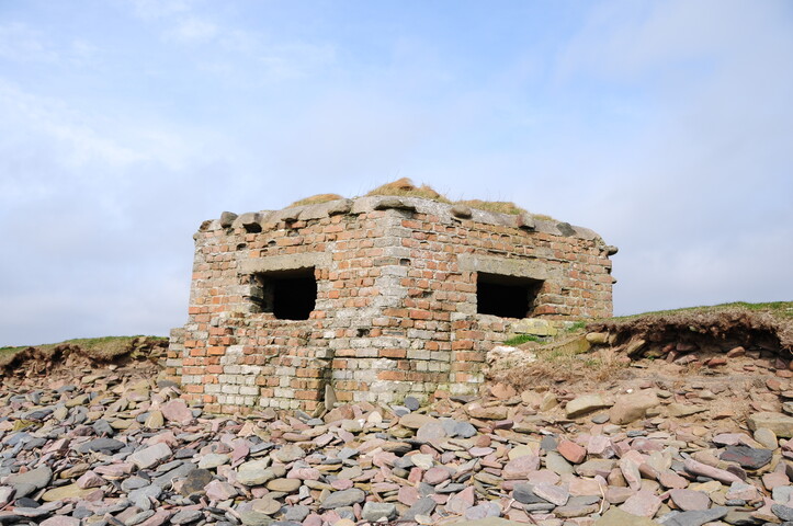 DSC_0963.jpg