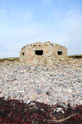 DSC_0964.jpg