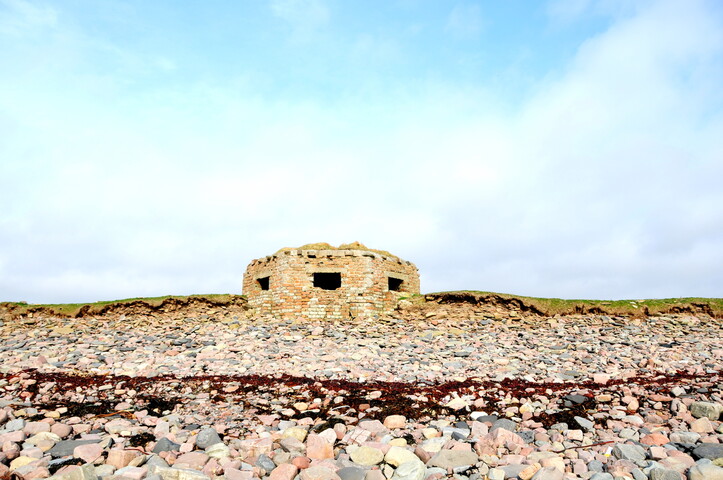 DSC_0965.jpg