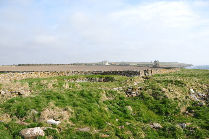 DSC_0966.jpg
