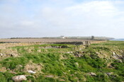 DSC_0966.jpg