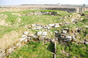DSC_0970.jpg