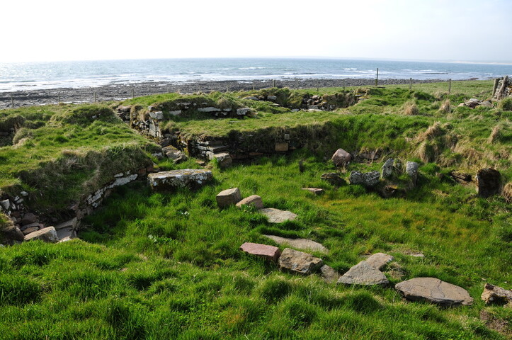 DSC_0972.jpg