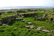 DSC_0972.jpg