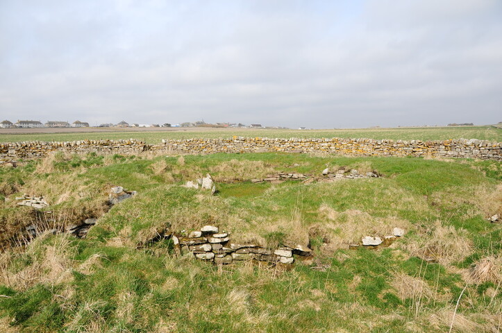 DSC_0976.jpg