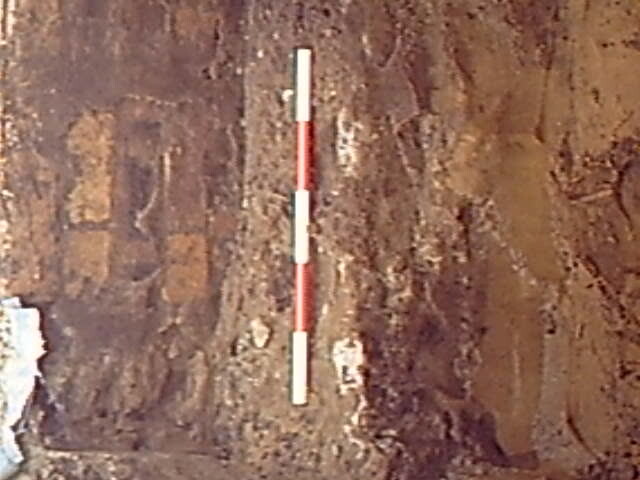 Burnside Hilton 062.avi