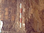 Burnside Hilton 062.avi