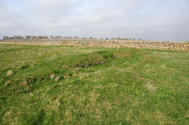 DSC_0977.jpg