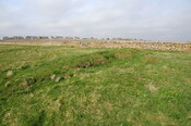DSC_0977.jpg