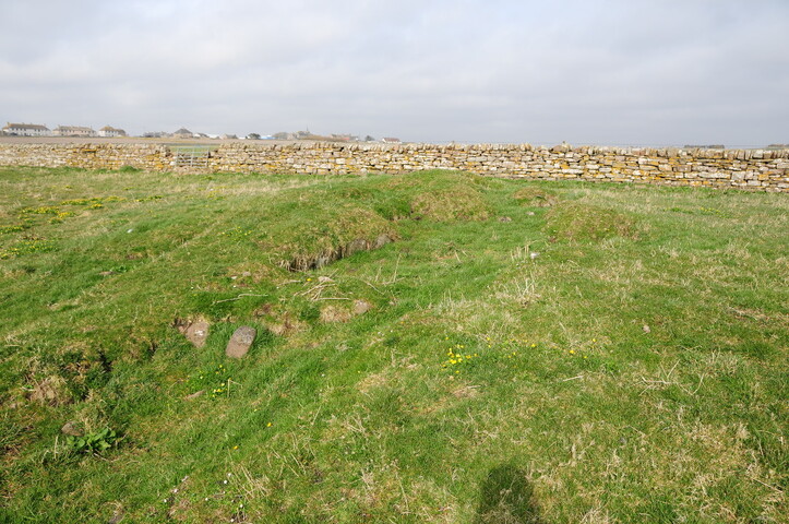 DSC_0978.jpg