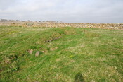 DSC_0978.jpg