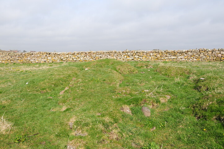 DSC_0979.jpg
