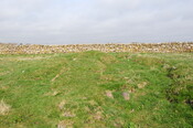 DSC_0979.jpg