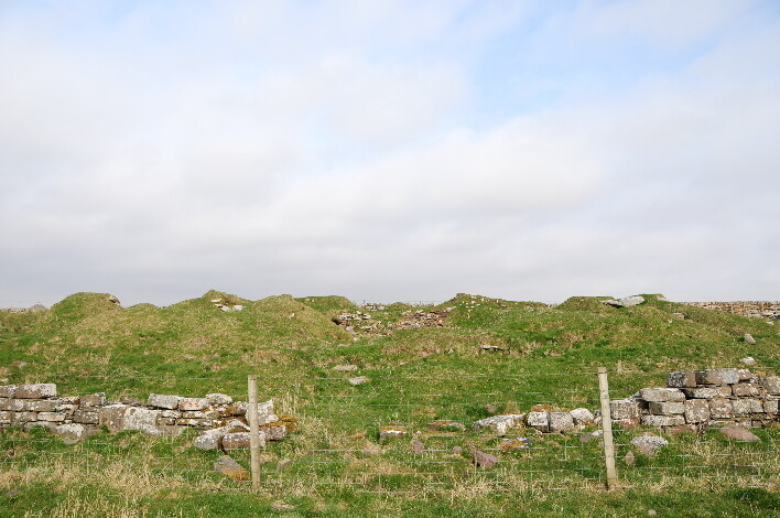 DSC_0955.jpg