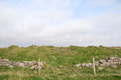 DSC_0955.jpg