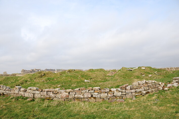 DSC_0956.jpg
