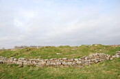 DSC_0956.jpg