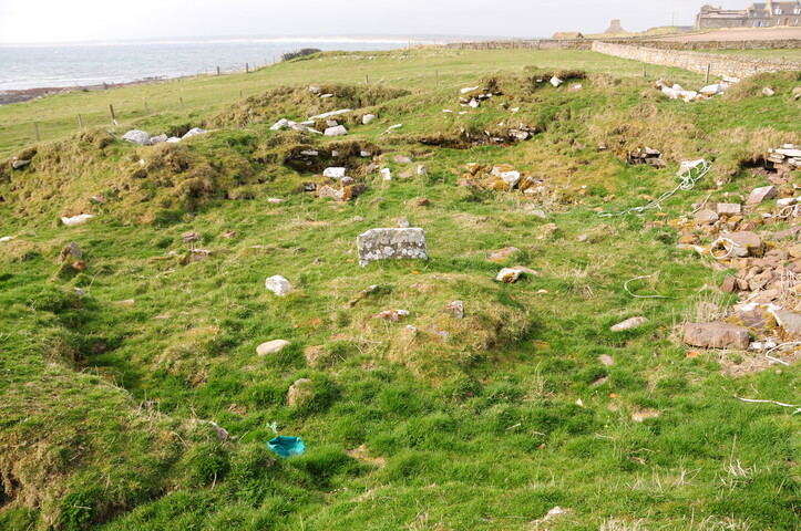 DSC_1008.jpg