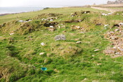 DSC_1008.jpg