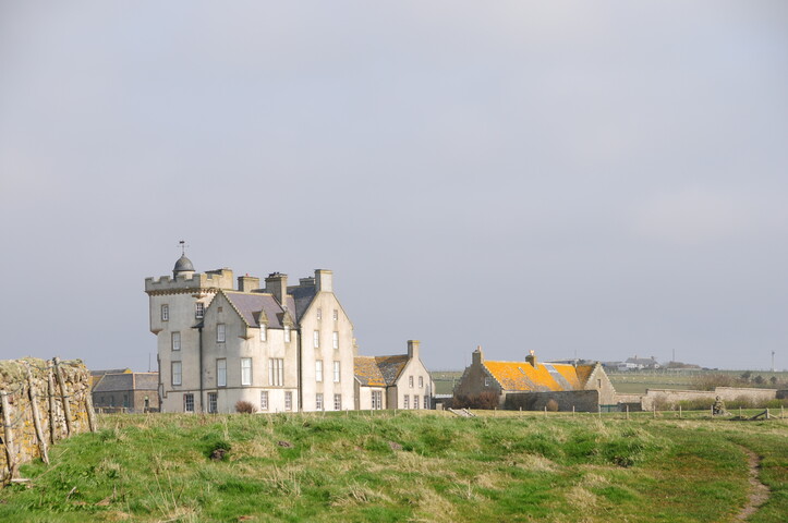 DSC_1001.jpg