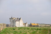 DSC_1001.jpg